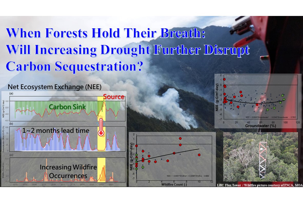 When Forests Hold Their Breath: Will Increasing Drought Further Disrupt Carbon Sequestration?